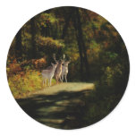 3 DEER STICKER