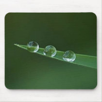 3 dewdrops mousepads