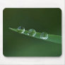 3 dewdrops mouse mats