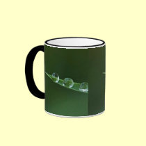 3 dewdrops mugs