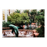 3 dolphins