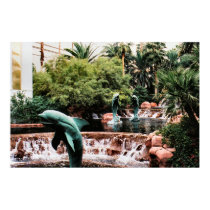 3 dolphins posters