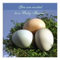 3 Eggs invitations