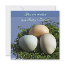3 Eggs Custom Announcement