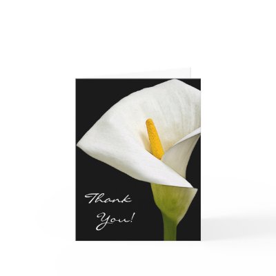 3 Elegant Cala Lily -Thank  You Card by ArtByLindaLou