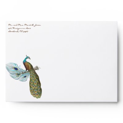 3 Feathers Vintage Peacock Wedding Envelopes