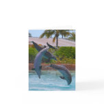 3 Flying Dolphins Note Cards cards