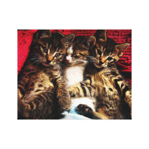 3 gatos lona estirada galerías