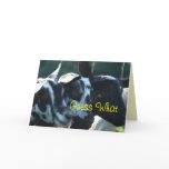 3 Goat Kids- customize any occasion Card