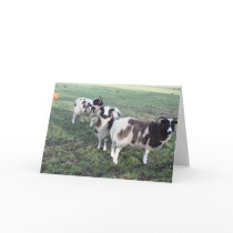 3 goats greeting card birthday