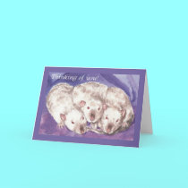 3 Himis Thinking of You cards