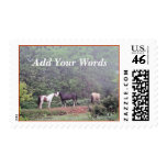 3 Horses-customize Postage Stamps