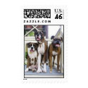 3 in 1 on back porch stamp