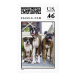 3 in 1 on back porch postage