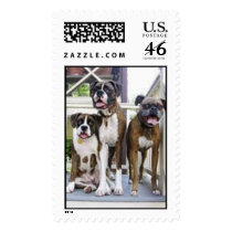 3 in 1 on back porch postage