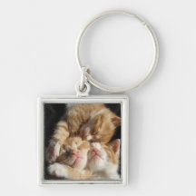 3 Kittens Keychain