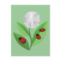 3 Ladybugs Postcard by stellerangel 3 Ladybugs Postcard