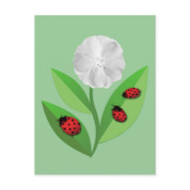 3 Ladybugs Postcard by stellerangel 3 Ladybugs Postcard