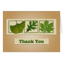 3 Leaves-Thank You Cards