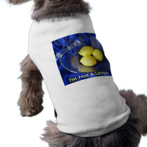 3 Lemons And Candlestick pet clothing by Debrene 3 Lemons And Candlestick pet clothing