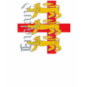 3 Lions on St George's Cross t-shirts by RawRock 3 Lions on St George's Cross t-shirts