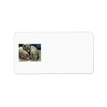 3 Little Pigs Personalized Address Label