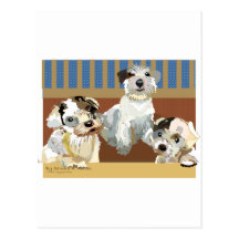 3 Little Sealyhams Postcard