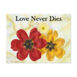 3 Love Never Dies Postcard