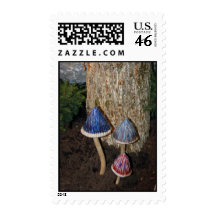 3  Mushrooms Postage