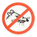 3" No Rat sticker by PB2themax 3" No Rat sticker