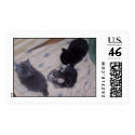 3 of the kittens postage by lakeviewclassof2006 3 of the kittens postage