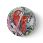3 parrots bird animal wildlife zoo watercolor art pin