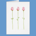 3 Pink Rosebuds Card by floatinglemons 3 Pink Rosebuds Card