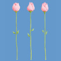 3 Pink Rosebuds Ladies T-shirt by floatinglemons 3 Pink Rosebuds Ladies T-shirt