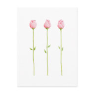 3 Pink Rosebuds Postcard postcard