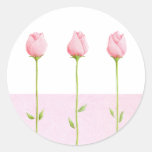 3 Pink Rosebuds Sticker