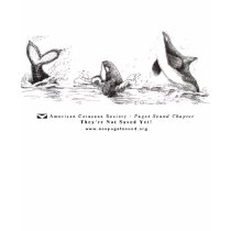 3 Playful Killer Whales Fashion T-shirt
