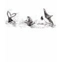 3 Playful Killer Whales Hoodie t-shirts by acspugetsound 3 Playful Killer Whales Hoodie t-shirts