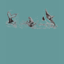 3 Playful Killer Whales Hoodie t-shirts by acspugetsound 3 Playful Killer Whales Hoodie t-shirts