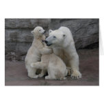 3) Polar bear cubs Greeting Cards