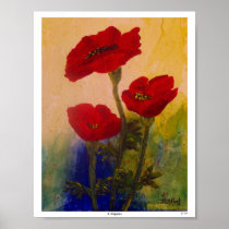 3 Poppies Print