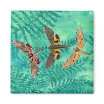 3 Pretty Moths on Teal Fern magnets by JuJuGarden 3 Pretty Moths on Teal Fern magnets