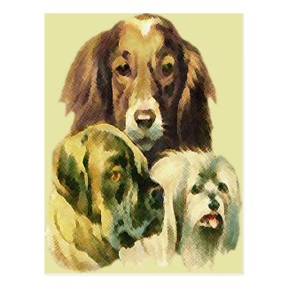 3 puppies post cards