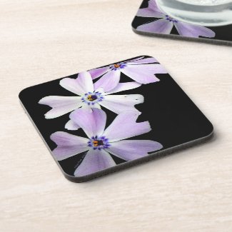 3 Purple Flowers Coasters