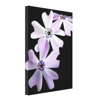 3 Purple Flowers Gallery Wrapped Canvas