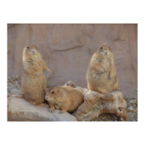 3 Rascals posters