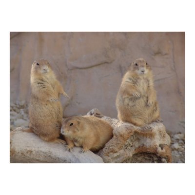 3 Rascals Poster by Debrene