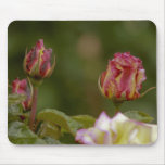 3 Roses mouse pad