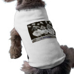 3 Sheep Pet Clothing