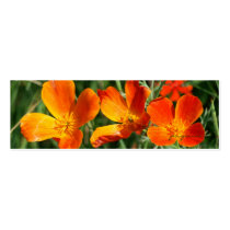 3 sisters bookmark business cards